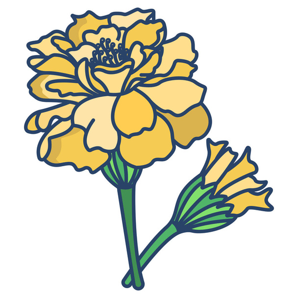 flower of a rose. vector illustration - Vector, Image
