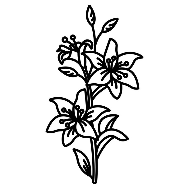 Lilly flower icon vector illustration   - Vektor, kép