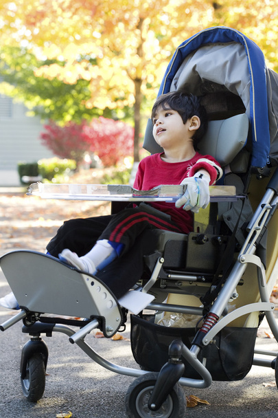 Disabled boy in medical stroller outdoors - Foto, imagen