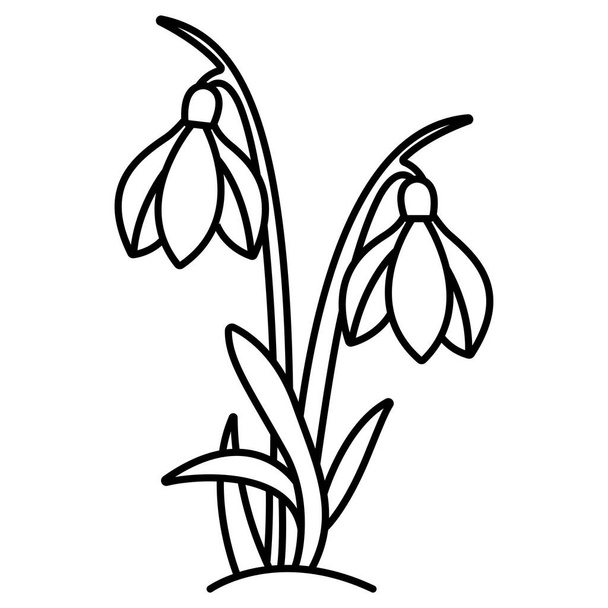 simple vector Snowdrop icon on white background - Vecteur, image