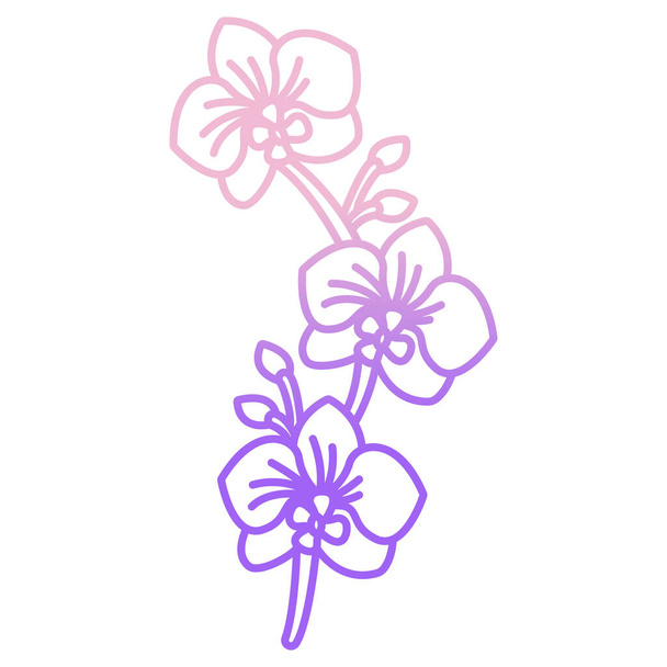 λουλούδι με ροζ λουλούδια και φύλλα διανυσματική εικονογράφηση σχεδιασμό - Διάνυσμα, εικόνα