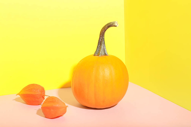 Ripe pumpkin and physalis on color background - Foto, Imagen