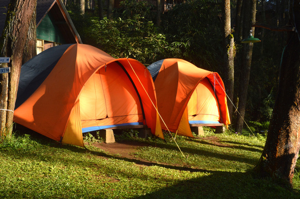 Lager im Wald - Foto, Bild