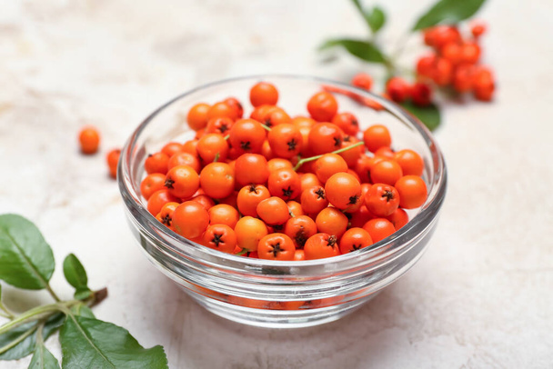 Bowl with rowan berries on light background - Photo, Image