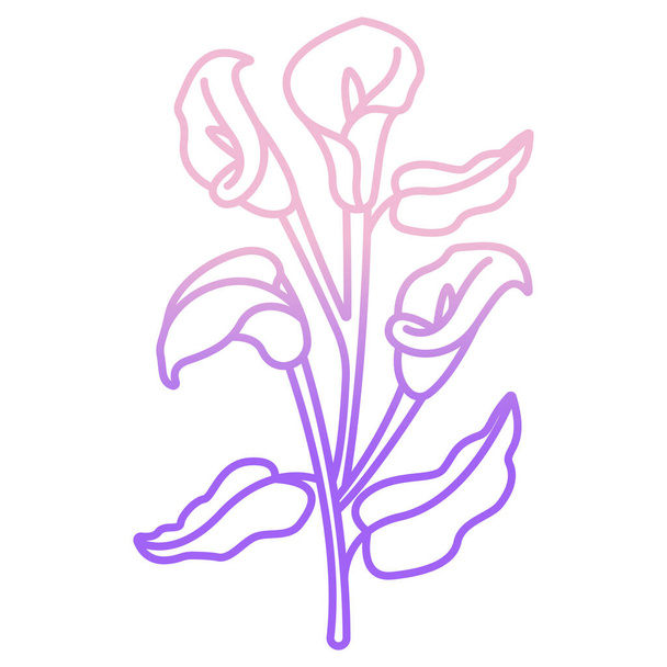 calla lily flower plant icon vector illustration graphic design - ベクター画像