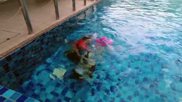 Nagy látószögű kilátás ázsiai család tartja össze a lélegzetét a vízben a medencében. - Igen. A felvétel alacsony fényviszonyok miatt zajt tartalmazhat. - Felvétel, videó
