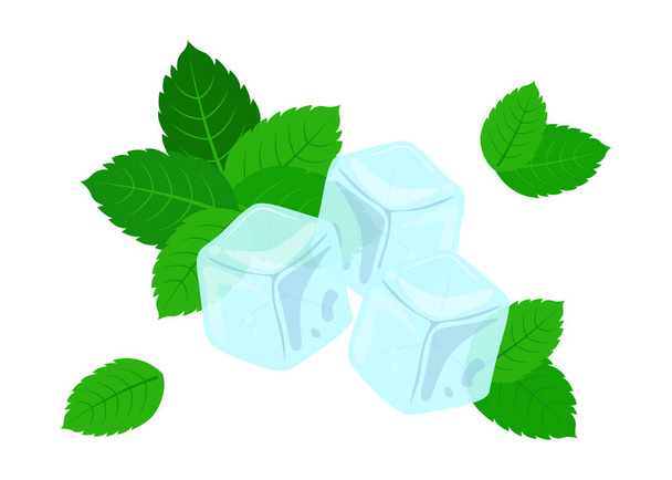 Cubos de gelo e folhas de hortelã isolados. Folha fresca de hortelã e gelo. Ilustração vetorial - Vetor, Imagem
