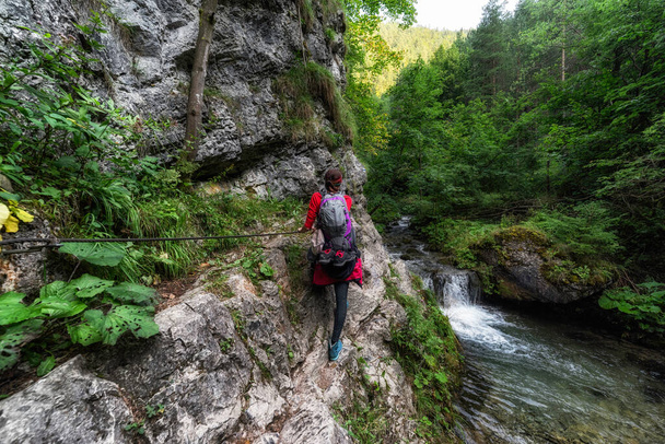 Senderista en ruta de senderismo en cañón rocoso. Valle de Prosiecka en Eslovaquia. - Foto, Imagen