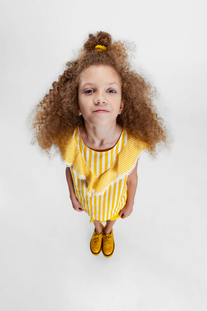 High angle view of little cute curly preschool beautiful girl looking at camera isolated over white studio background. - Valokuva, kuva