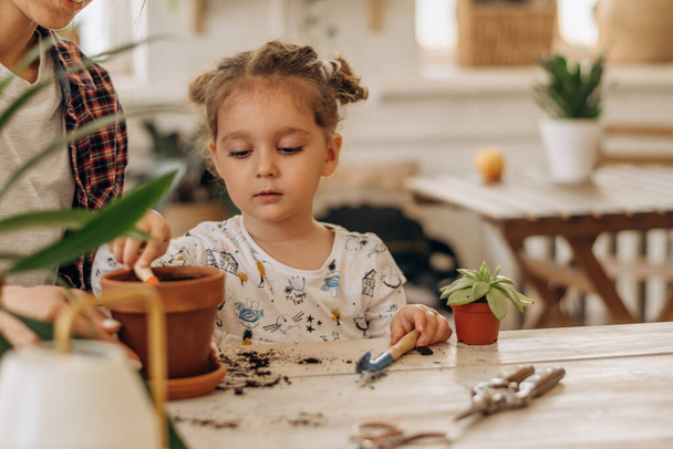 Little mixed-race dark-haired girl with her mother is planting houseplants in terracotta pots at home.Family leisure,home gardening,hobby concept.Biophilia design and urban jungle concept. - Foto, afbeelding