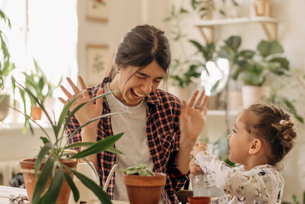 Young happy mixed race woman with a little daughter is planting houseplants at home and having fun splashing water.Home gardening.Family leisure,hobby concept.Biophilia design and urban jungle concept - Photo, image