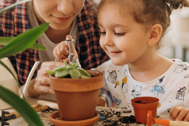 Happy mixed race family little girl with her mother is planting houseplants at home.Home gardening.Family leisure, hobby concept.Biophilia design and urban jungle concept. - Φωτογραφία, εικόνα
