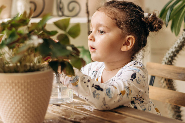 Little mixed-race dark-haired girl is spraying houseplants with water from a glass sprayer at home.Home gardening.Hobby concept.Biophilia design and urban jungle concept. - Photo, image