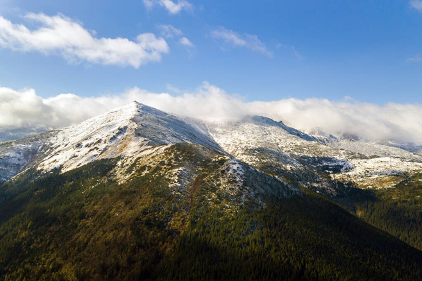 Luchtfoto van majestueuze bergen bedekt met groen sparrenbos en hoge besneeuwde toppen. - Foto, afbeelding