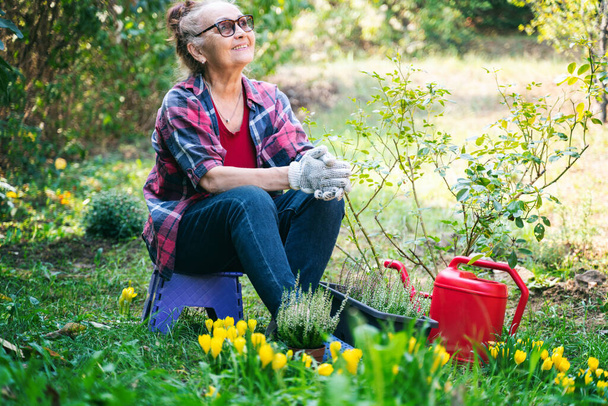 Happy beautiful elderly woman 60 years old working in her garden planting flowers - Foto, afbeelding