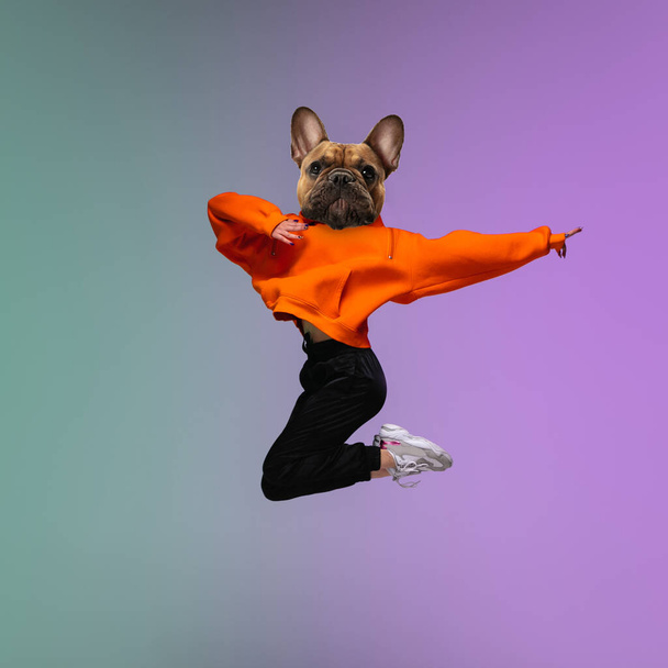 Коллаж. Молодая женщина, танцовщица хип-хопа во главе с собачьей головой танцует изолированно на градиентном фоне. Вдохновение, идея, стиль уличного танца. - Фото, изображение