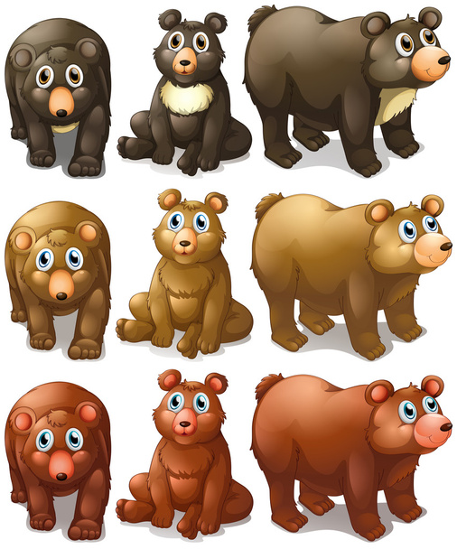 Коллекция медведей
 - Вектор,изображение