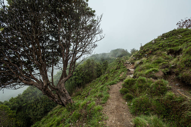 Footpath through the mountains. Trek to Machapuchare, Nepal - Zdjęcie, obraz