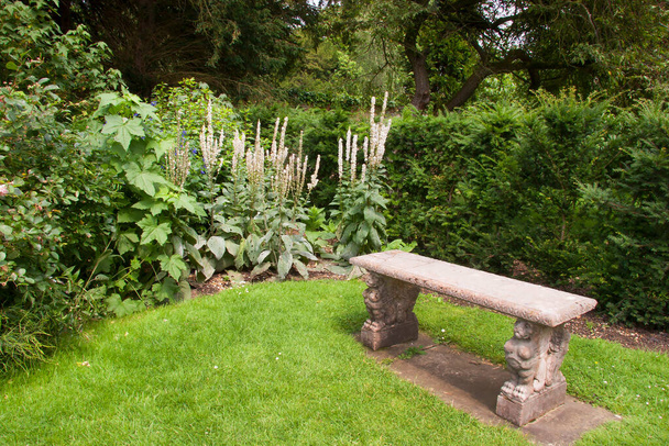 緑の庭の石のベンチ - 写真・画像