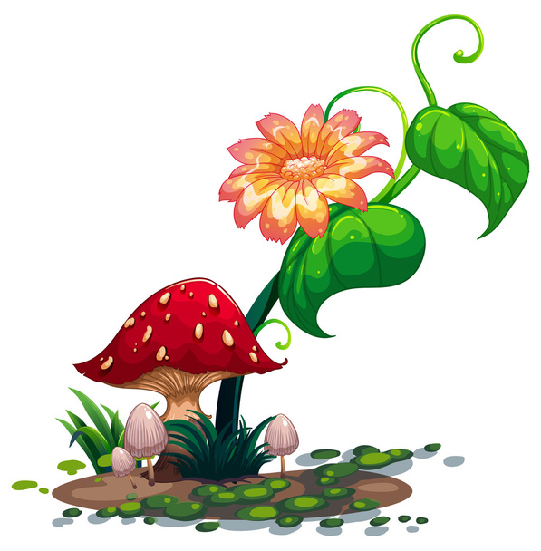 eine blühende Pflanze und Pilze - Vektor, Bild