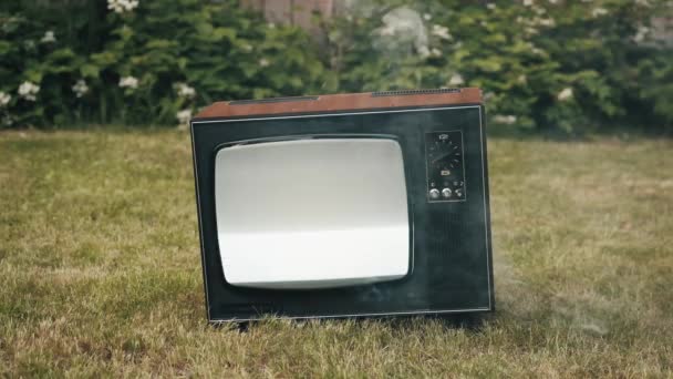 Retro TV staat op gras. Er is storing op het tv-scherm. De tv rookt. - Video