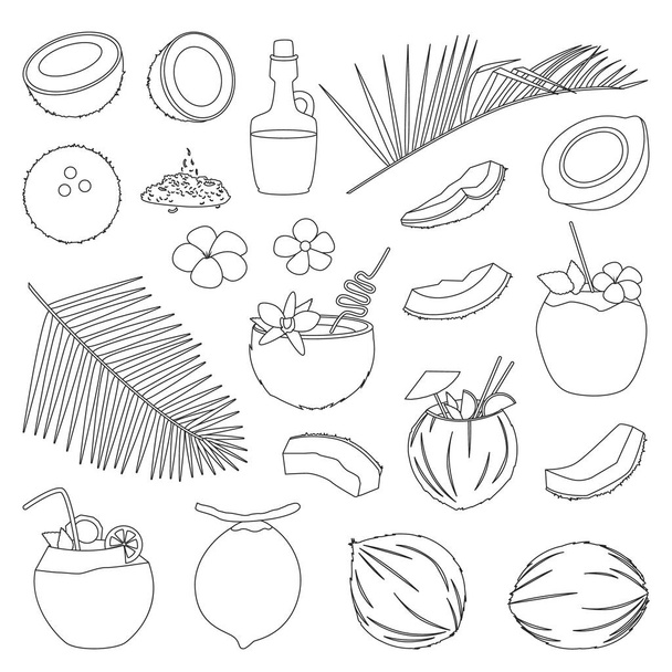 Coconut isolated outline set icon. Vector illustration coco on white background. Vector outline set icon coconut. - Vector, imagen
