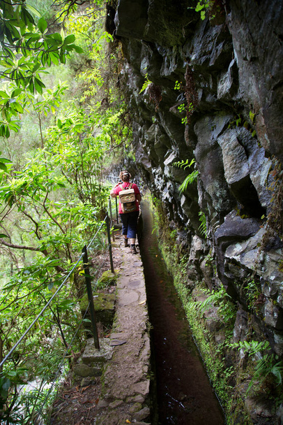Der typische Levada-Bewässerungskanal aus Beton der Insel Madeira ist auch ein touristischer Wanderweg entlang und durch die bewaldeten Vulkanberge - Foto, Bild