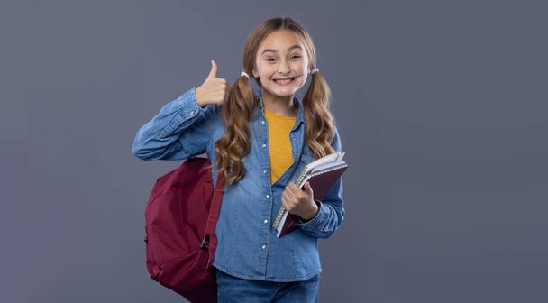 Schoolgirl girl with textbooks shows thumbs up. Studio photo on a gray background. Concept for text advertising about school and training. - Photo, Image