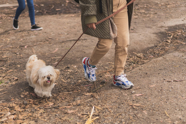 Junger Mann spaziert mit seinem Haustier durch die Natur. - Foto, Bild