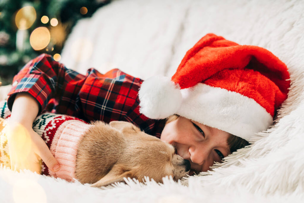 メリークリスマス。セーターで幸せな小さな子供と子犬の犬が遊んで、抱擁し、冬の休日に毛布でソファで楽しんでいます。サンタ・ハットの子供だ。軽いボケのクリスマスツリー。新年明けましておめでとう - 写真・画像