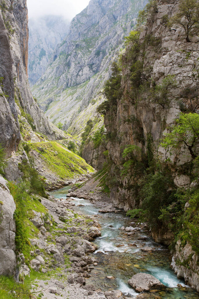 beautiful mountain river in the mountains - Фото, зображення