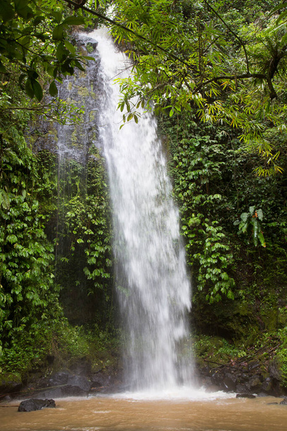 schöner Wasserfall im Hintergrund mit grünen Pflanzen - Foto, Bild