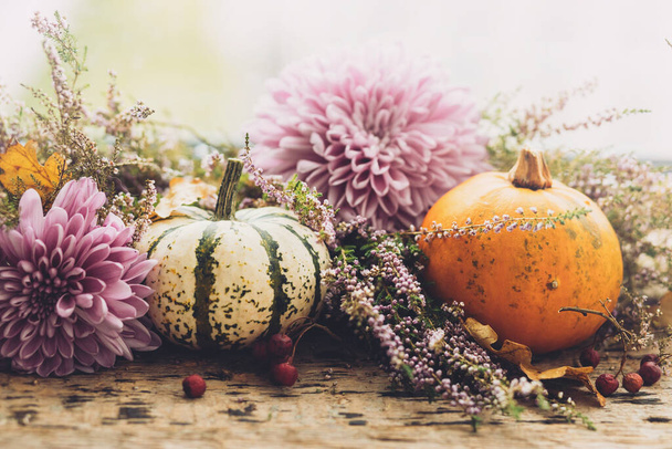 Happy Thanksgiving. Stylish pumpkins, purple dahlias flowers, heather on rustic old wooden background in light. Fall harvest rural composition space for text. Atmospheric autumn image - Photo, Image
