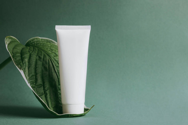 クリームの白い筒は緑の背景に葉に立っています。化粧品のコンセプト  - 写真・画像