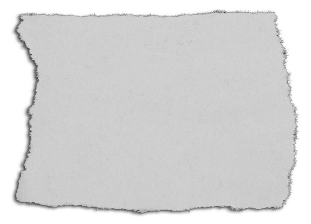 Ένα κομματάκι σκισμένο χαρτί σε λευκό - Φωτογραφία, εικόνα