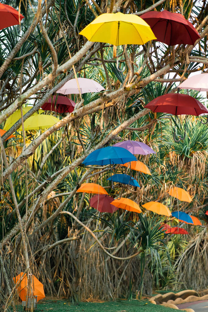 Bunte Regenschirme im Hintergrund. Bunte Regenschirme hängen an den Bäumen. Straßendekoration. - Foto, Bild