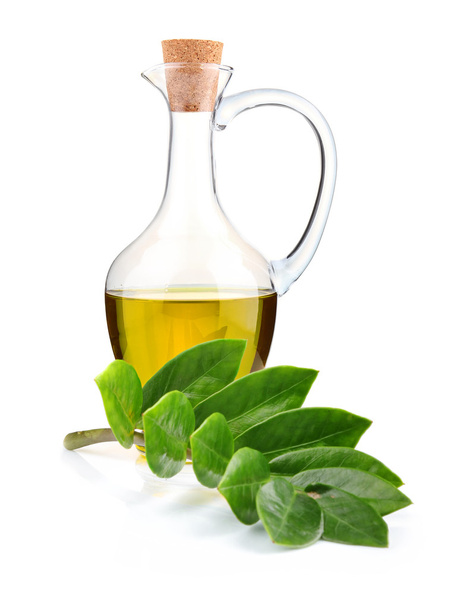 Jug of olive oil and branch of bay leaf isolated - Φωτογραφία, εικόνα
