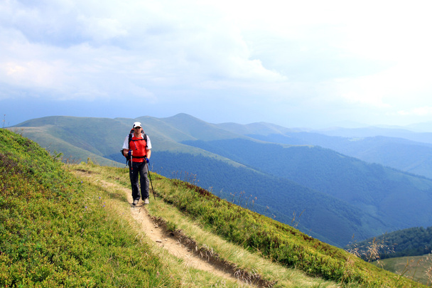 Summer hiking in the mountains. - 写真・画像