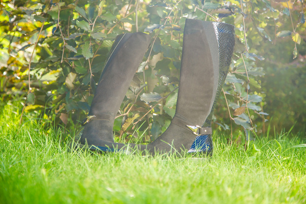 black suede boots in autumn garden, women's shoes - Foto, afbeelding