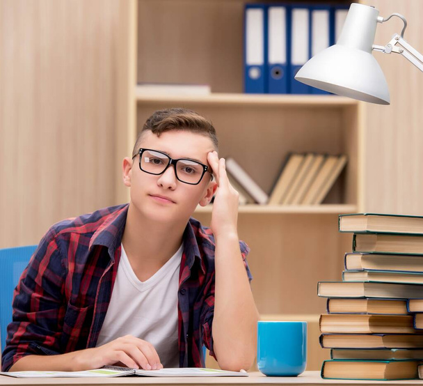 Young student preparing for school exams - Photo, Image