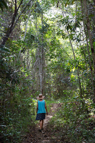 zadní pohled na ženu kráčející v svěží zelené džungli - Fotografie, Obrázek