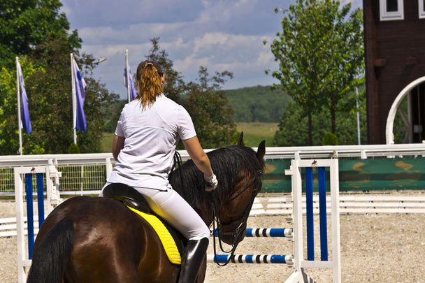 Female horse rider at showjumping event. - Photo, Image