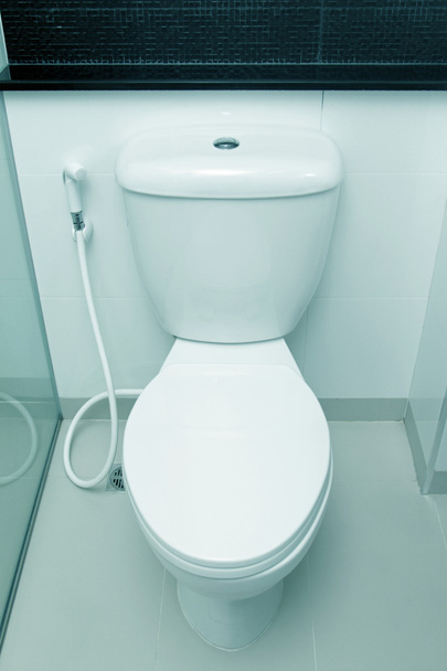 White toilet bowl in a bathroom - Foto, afbeelding