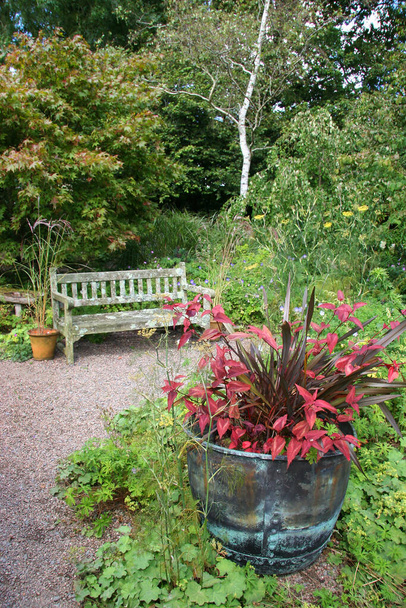 piękny letni ogród z zielonymi roślinami - Zdjęcie, obraz