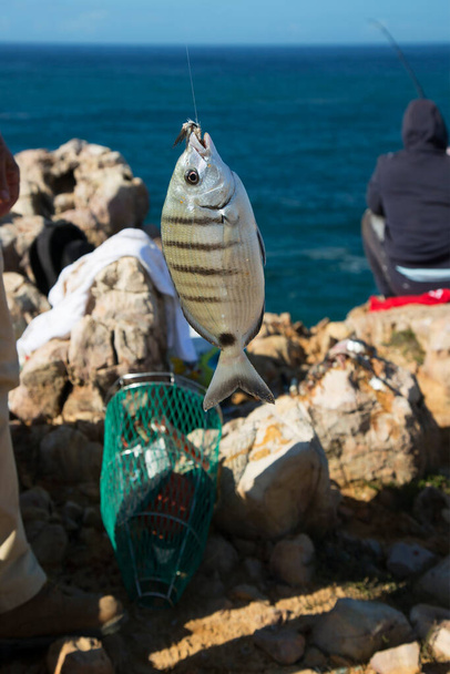 рыбалка концепции, вид на побережье моря - Фото, изображение
