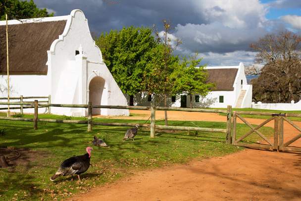 Tipiche antiche fattorie coloniali olandesi e casa nelle strade di una città rurale - Foto, immagini