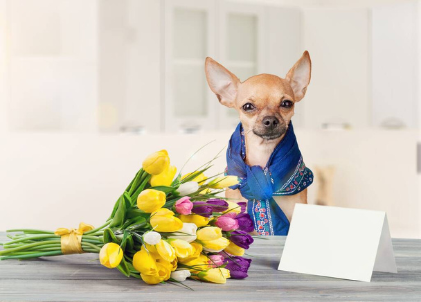 cute chihuahua puppy with flowers on background - Foto, imagen