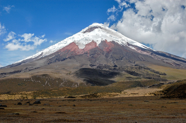 θέα προς το μαγευτικό ηφαίστειο Κοτοπαξί - Φωτογραφία, εικόνα