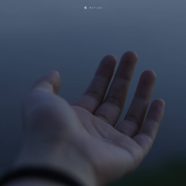 hand holding a white background - Zdjęcie, obraz