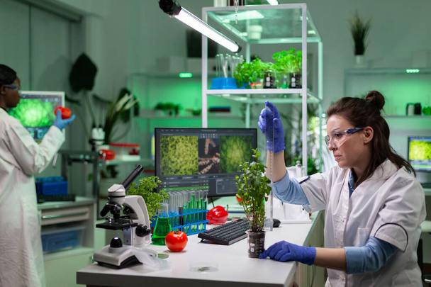 Chemikerin Frau misst grünen Bäumchen mit Lineal - Foto, Bild